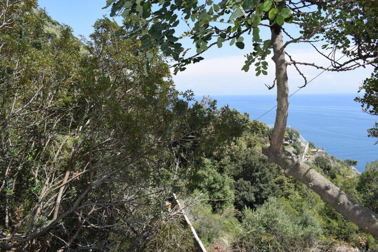 La Caletta-Praiano Exteriör bild